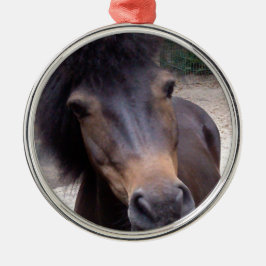 Tier, Pferd, Pony Ornament Aus Metall