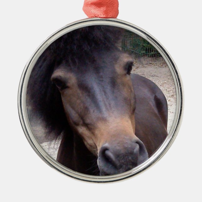 Tier, Pferd, Pony Ornament Aus Metall (Vorne)