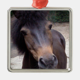 Tier, Pferd, Pony Silbernes Ornament