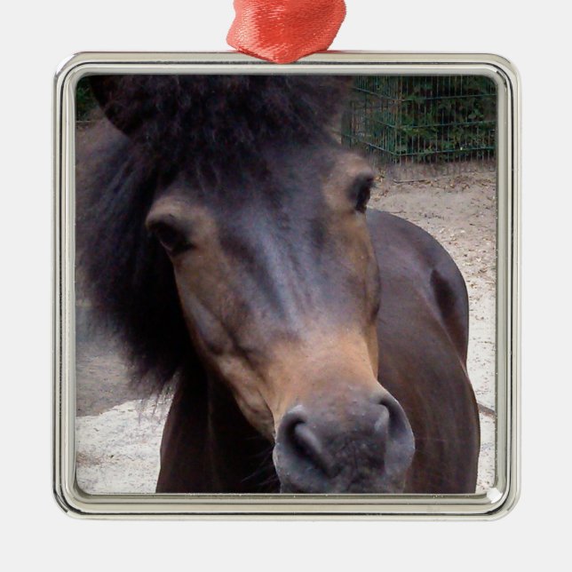 Tier, Pferd, Pony Silbernes Ornament (Vorne)