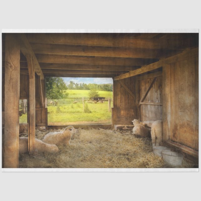 Tier - Schafe - gezählt Schafe Seidenpapier (Vorderseite)