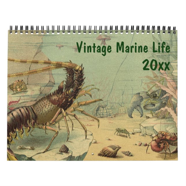 Tier- und Meereslebewesen im Vintagen Ozean Kalender (Titelbild)