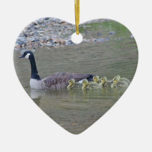 Tier-Verzierung der Kanada-Gans-Baby-3 Keramik Ornament (Vorne)