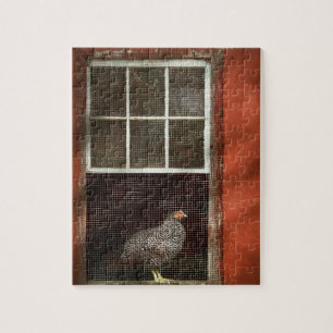 Tier - Vogel - Huhn im Fenster