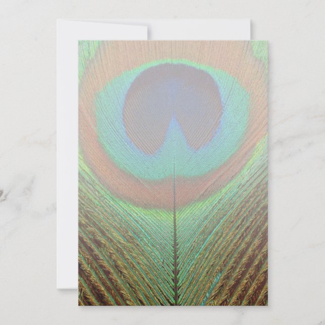 Tier - Vogelgeflügel - Pfauenfeder (Vorderseite)