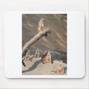 Tier-wilde Säugetiere Meerkat Mousepad