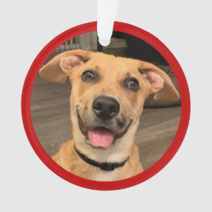 Tieradoption   Benutzerdefiniertes Foto Ornament