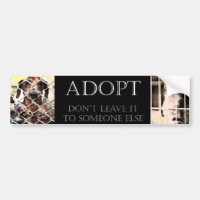 TierAdoptions-Autoaufkleber