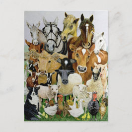 Tierallsorten Postkarte