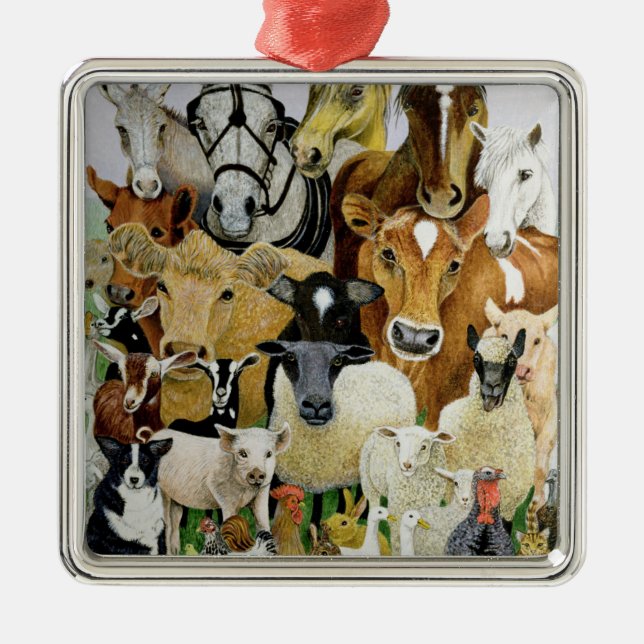 TierAllsorts Silbernes Ornament (Vorne)
