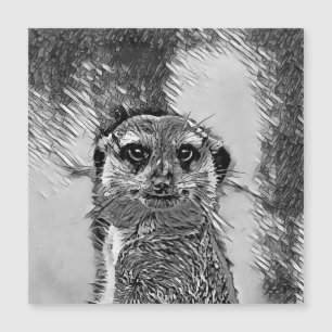 TierArtBW_Meerkat_002 Magnetkarte