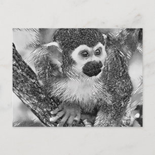 TierArtBW_Monkey_002 Postkarte