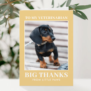 Tierarzt Danke Haustier Hund Foto Gelb Modern
