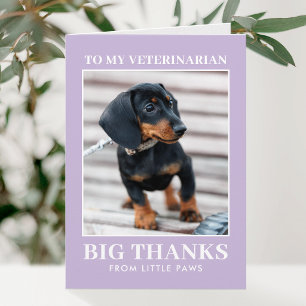 Tierarzt Danke Haustier Hund Foto Lila Modern