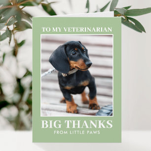 Tierarzt Danke Haustier Hund Foto XOXO Grün