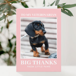 Tierarzt Danke Haustier Hund Foto XOXO Rosa