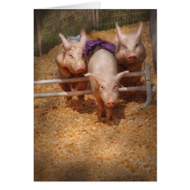 Tierarzt - Erhalten der letzten Hürden (Vorne)