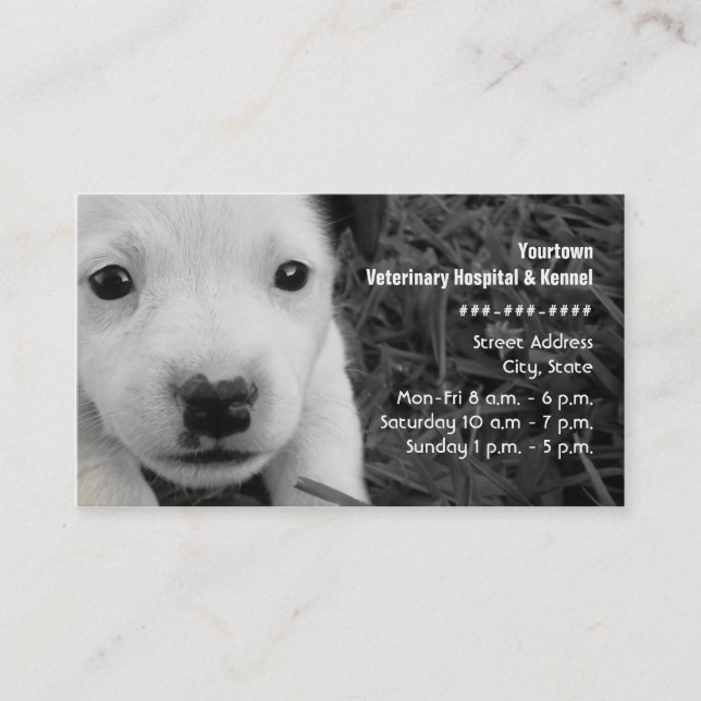 Tierarzt-u. Hundehütten-Geschäfts-Karte - Jack Visitenkarte (Vorderseite)