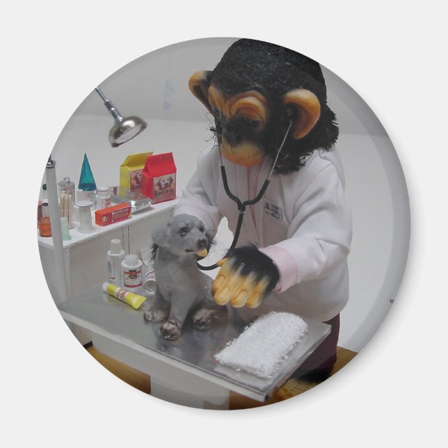 Tierärztin Magnet (Vorne)