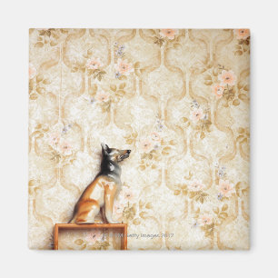 Tierdarstellung, Neuheitseinzelteil, Regal, knick Magnet