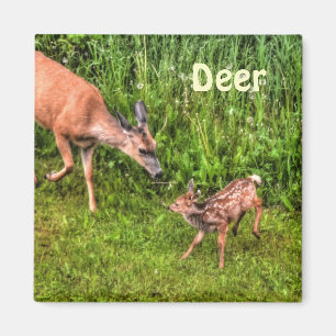 Tierdesign Magnet