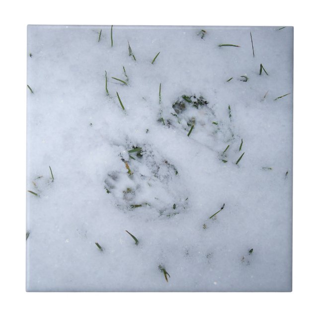 Tierdrucke im Schneegeflecht Fliese (Vorderseite)