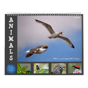 Tiere 12 Monate Kalender
