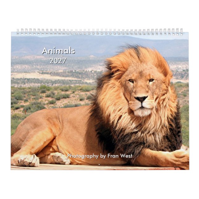 Tiere 2027 Kalender (Titelbild)