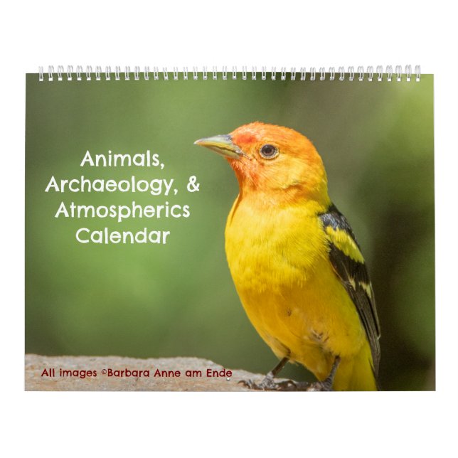 Tiere, Archäologie und Atmosphärenkalender Kalender (Titelbild)