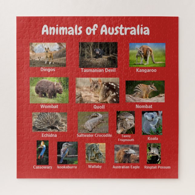 Tiere aus Australien (Vertikal)