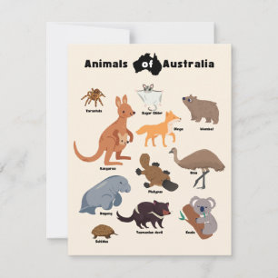 Tiere aus Australien Aussie Wildlife
