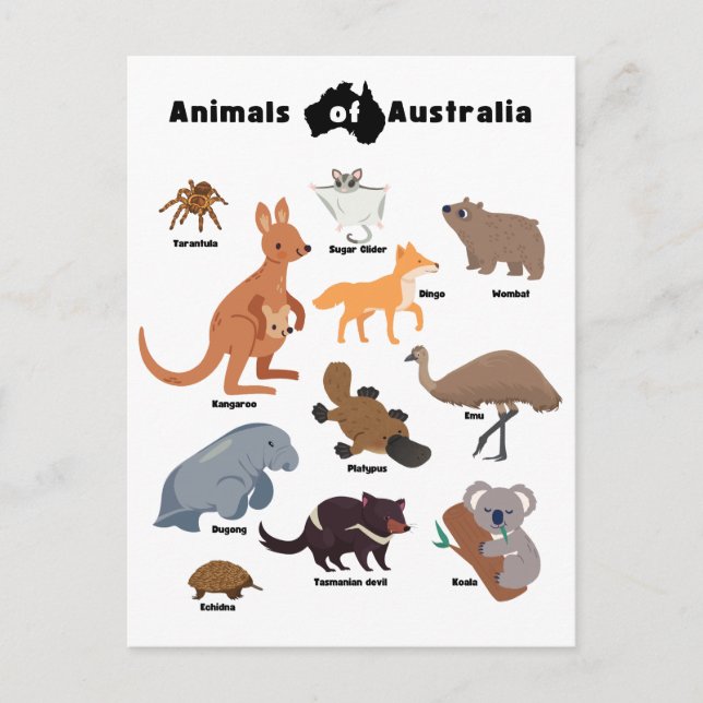Tiere aus Australien Aussie Wildlife Feiertagspostkarte (Vorderseite)