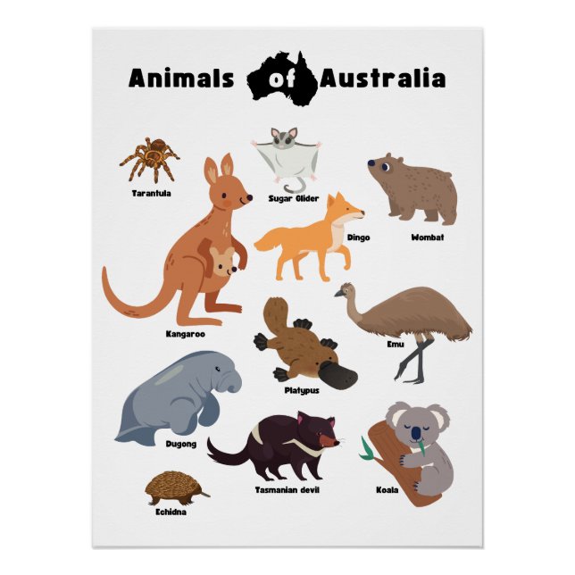 Tiere aus Australien Aussie Wildlife Poster (Vorderseite)