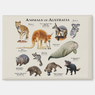 Tiere aus Australien Magnet