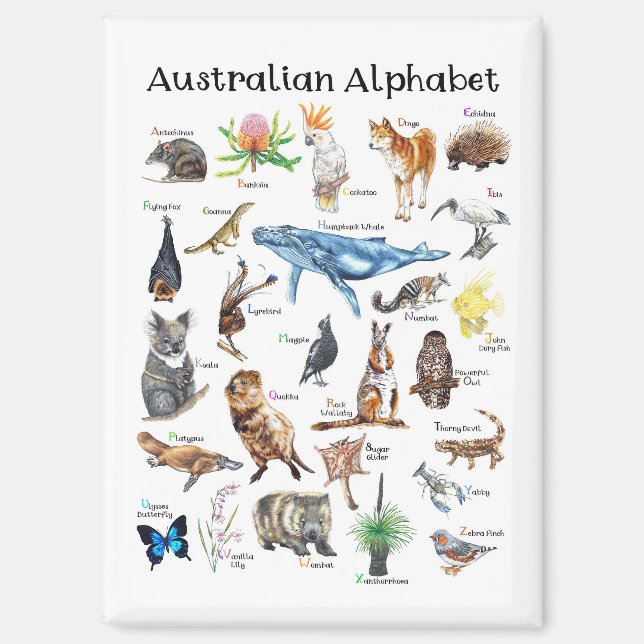 Tiere Australiens Magnet (Vorderseite)