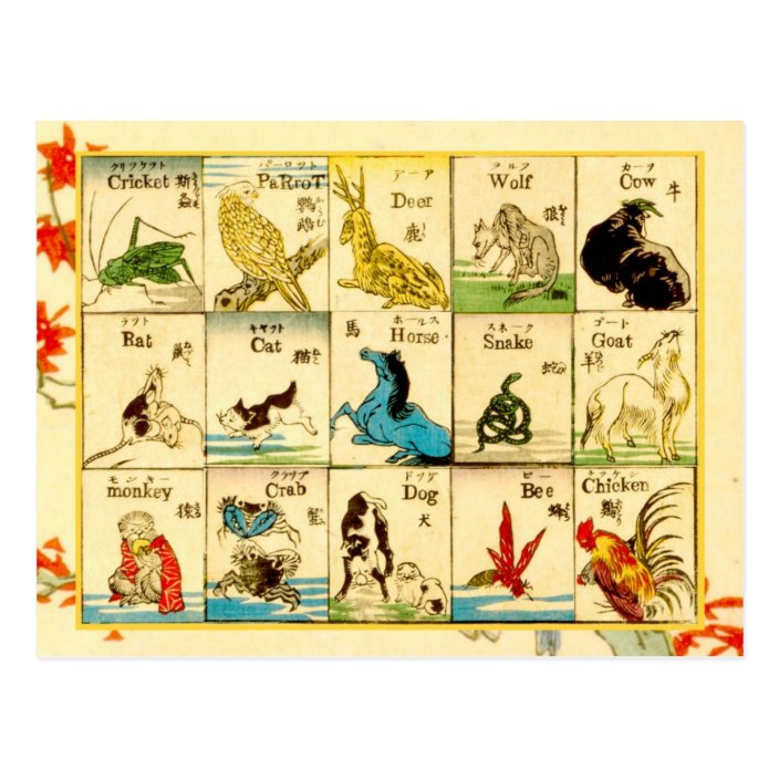 Tiere Beschriftet Auf Japanisches U Englisch Postkarte Zazzle Ch