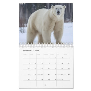 Tiere Bildkalender Kalender