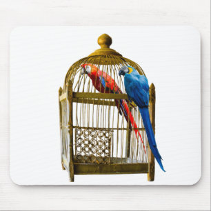 Tiere Bird Cat Parrot Käfig Locked Freedom Gefängn Mousepad