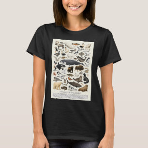 Tiere der Arktis Retro-Stil-Identifikation C T-Shirt