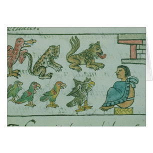 Tiere des aztekischen Kaisers