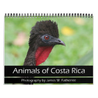 Tiere des Costa Rica Kalenders