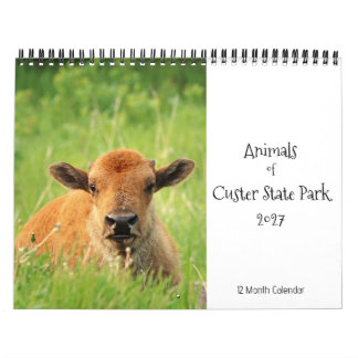 Tiere des Custer State Park 2027 Kalender