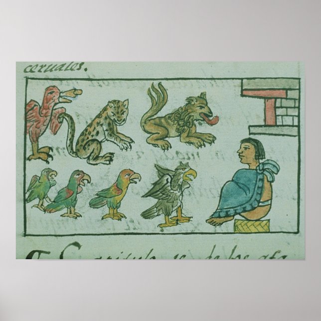 Tiere des Kaisers von Aztec Poster (Vorne)