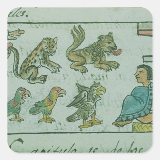 Tiere des Kaisers von Aztec Quadratischer Aufkleber (Vorderseite)