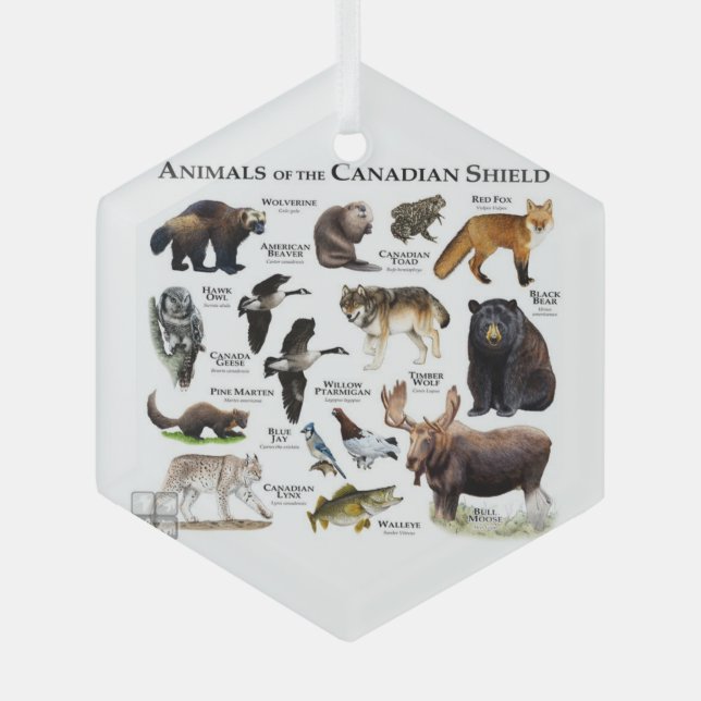 "Tiere des kanadischen Schilds." Ornament Aus Glas (Vorderseite)