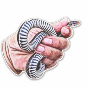 Tiere, die Baby-Schlange-Reptil halten Aufkleber