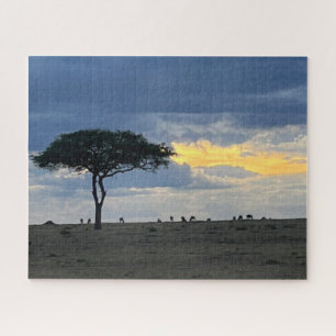 Tiere, die bei Sonnenuntergang in Kenia weiden