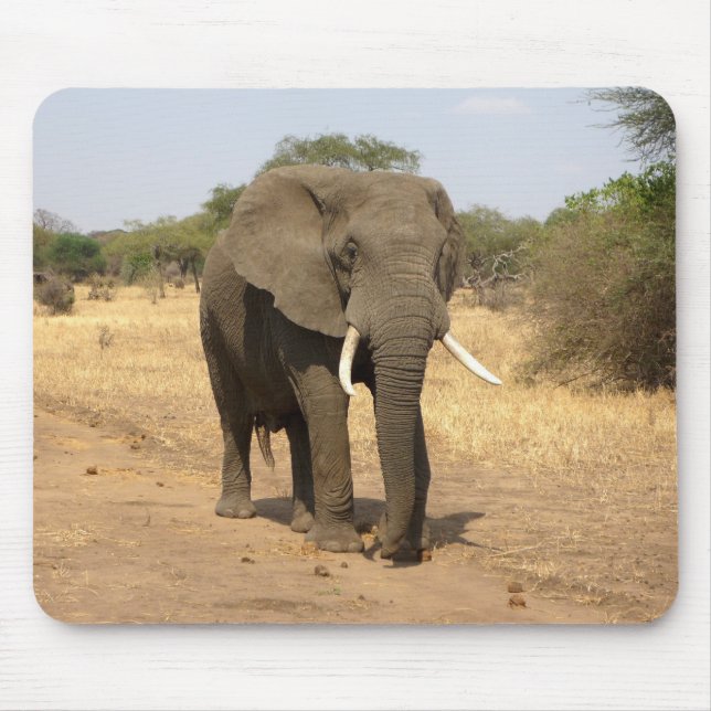 Tiere, Elefanten, Natur Mousepad (Vorne)