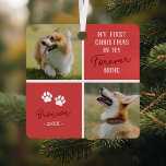 Tiere Erste Weihnachten für immer Zuhause Red Foto Ornament Aus Metall<br><div class="desc">Moderne neue Haustier-Weihnachtsschmuck mit 2 Fotos Deines Hundes oder Deines Katers,  klassische Rotweine,  mit dem Sprichwort "Meine ersten Weihnachten in meinem ewigen Zuhause",  dem Haustiernamen,  dem Jahr und den 2 Pfotendrucken.</div>