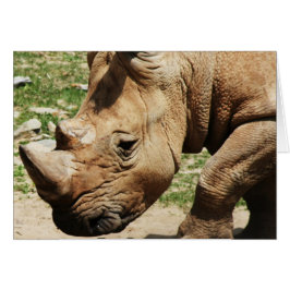 TIERE FOTOS MITTEILUNGSKARTEN